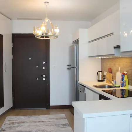 Ailenizle Keyifle Kalabileceginiz Essiz Bir Daire Istanbulská provincie